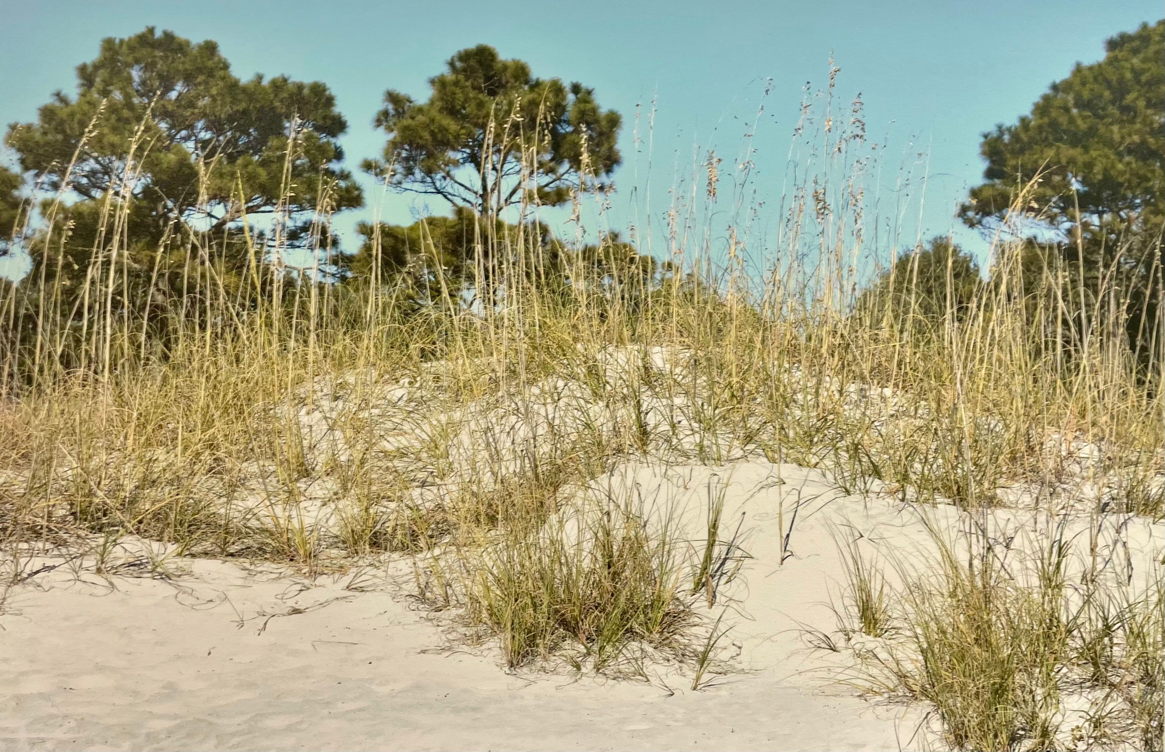 2026 Spring Art Show photo 25