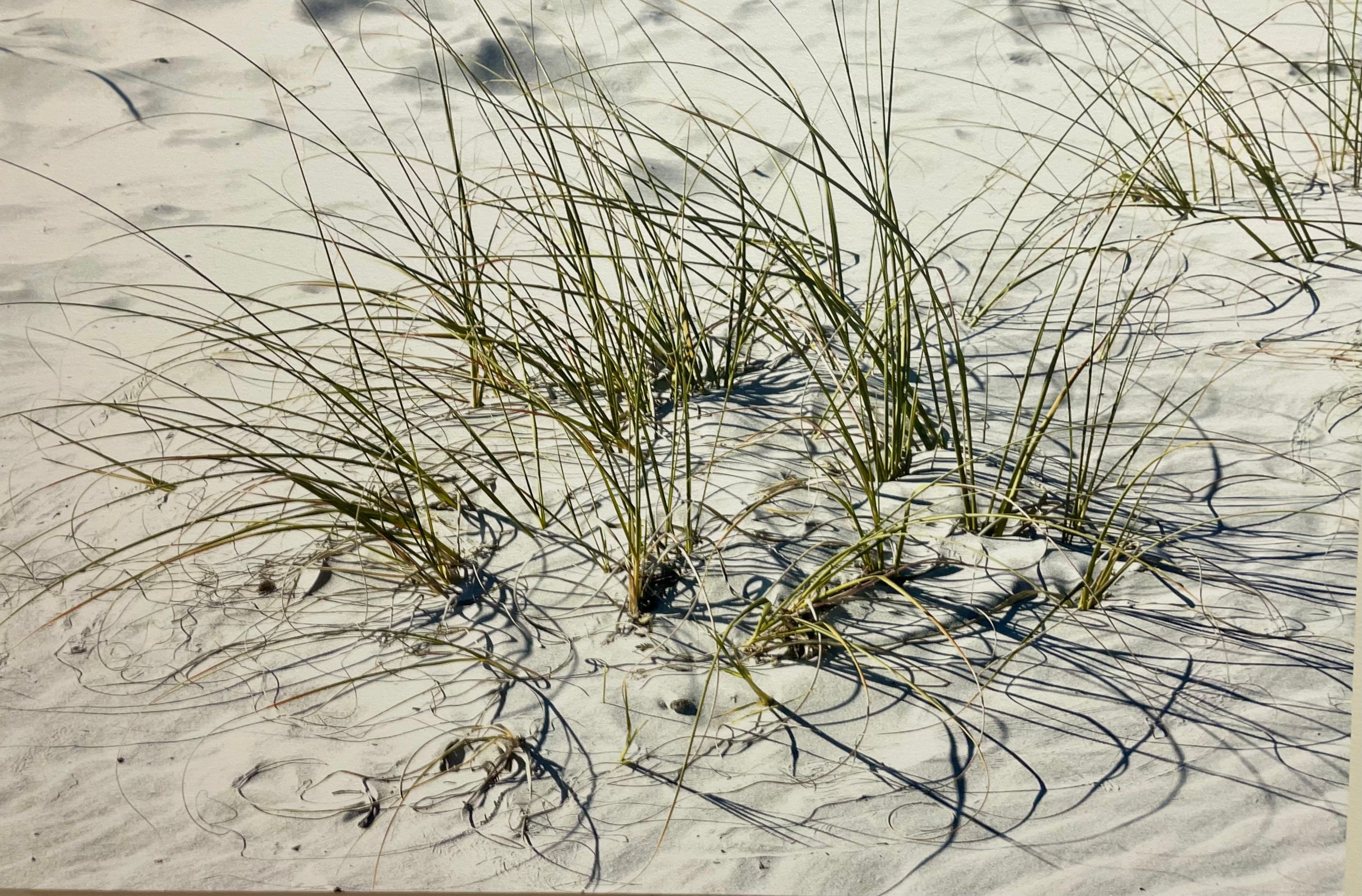 2026 Spring Art Show photo 6